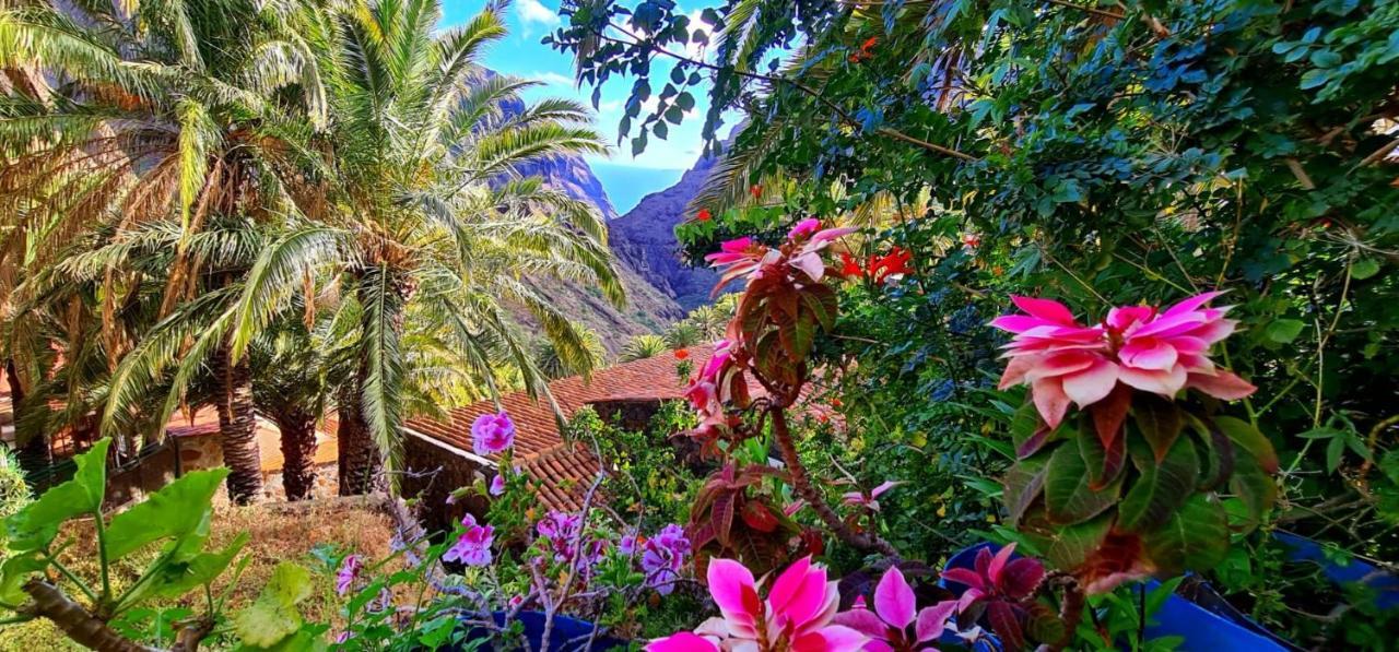 Paradise Tenerife San Miguel de Abona Exterior foto